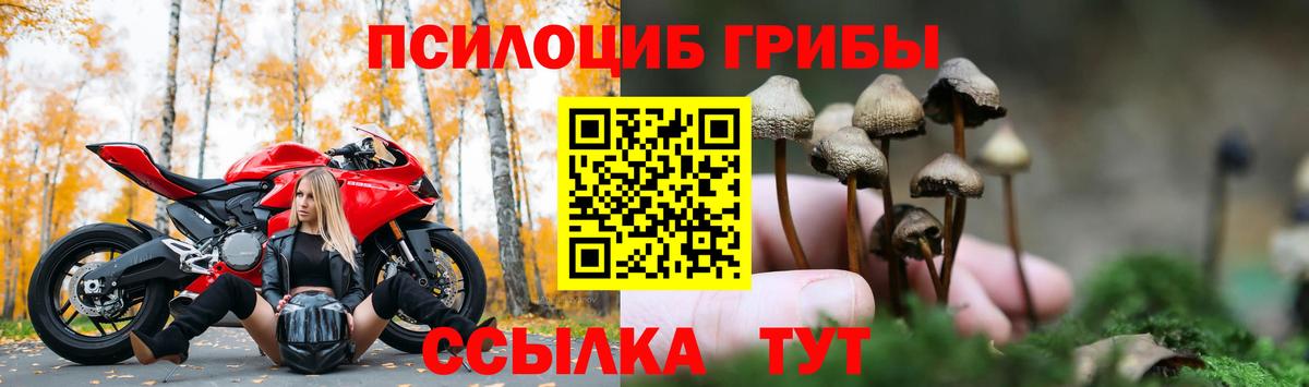 Галлюциногенные грибы GOLDEN TEACHER Амурск